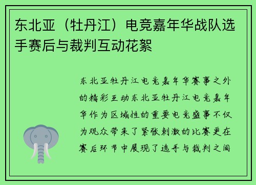 东北亚（牡丹江）电竞嘉年华战队选手赛后与裁判互动花絮