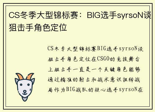 CS冬季大型锦标赛：BIG选手syrsoN谈狙击手角色定位