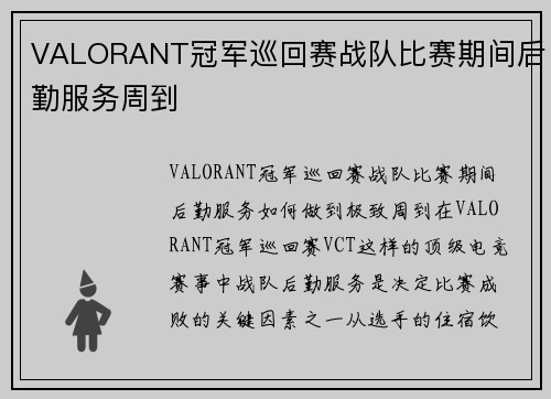 VALORANT冠军巡回赛战队比赛期间后勤服务周到